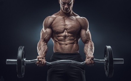 Bodybuilding Results Of HGH And Testosterone