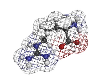 Arginine 