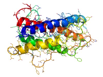 HGH mollecule