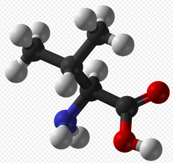 L-valine